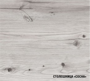 АСАЯ Кухонный гарнитур Экстра 2 (3000 мм) ПМ в Верхней Салде - verhnyaya-salda.ok-mebel.com | фото 8