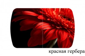 БОСТОН - 3 Стол раздвижной 1100/1420 опоры Триумф в Верхней Салде - verhnyaya-salda.ok-mebel.com | фото 18
