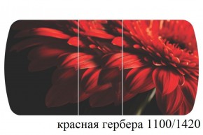 БОСТОН - 3 Стол раздвижной 1100/1420 опоры Триумф в Верхней Салде - verhnyaya-salda.ok-mebel.com | фото 19