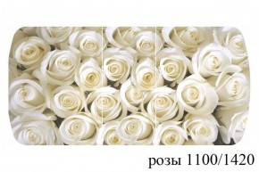 БОСТОН - 3 Стол раздвижной 1100/1420 опоры Триумф в Верхней Салде - verhnyaya-salda.ok-mebel.com | фото 37