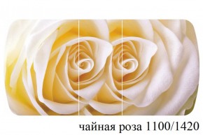 БОСТОН - 3 Стол раздвижной 1100/1420 опоры Триумф в Верхней Салде - verhnyaya-salda.ok-mebel.com | фото 48