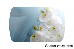 БОСТОН - 3 Стол раздвижной 1100/1420 опоры Триумф в Верхней Салде - verhnyaya-salda.ok-mebel.com | фото 8