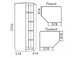 Детская Фанк Шкаф угловой Левый/Правый НМ 013.04-02 М в Верхней Салде - verhnyaya-salda.ok-mebel.com | фото 3