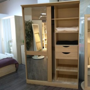 ДИАНА Д13 Шкаф-купе в Верхней Салде - verhnyaya-salda.ok-mebel.com | фото 4