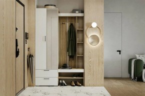 Гарнитур для прихожей Торонто в Верхней Салде - verhnyaya-salda.ok-mebel.com | фото 5