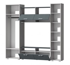 Гостиная Эмми (Анкор светлый/Графит) в Верхней Салде - verhnyaya-salda.ok-mebel.com | фото 3