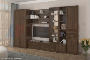 Гостиная Карина Композиция 11 (Акация Молдау) в Верхней Салде - verhnyaya-salda.ok-mebel.com | фото