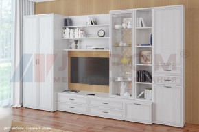 Гостиная Карина Композиция 11 (Снежный ясень) в Верхней Салде - verhnyaya-salda.ok-mebel.com | фото