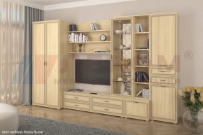 Гостиная Карина Композиция 11 (Ясень Асахи) в Верхней Салде - verhnyaya-salda.ok-mebel.com | фото