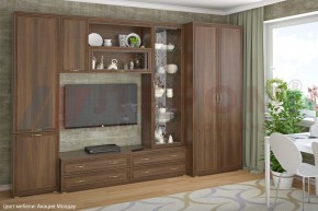 Гостиная Карина Композиция 16 (Акация Молдау) в Верхней Салде - verhnyaya-salda.ok-mebel.com | фото