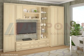 Гостиная Карина Композиция 16 (Ясень Асахи) в Верхней Салде - verhnyaya-salda.ok-mebel.com | фото