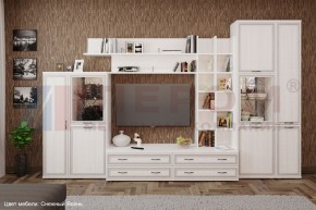 Гостиная Карина Композиция 5 (Снежный ясень) в Верхней Салде - verhnyaya-salda.ok-mebel.com | фото
