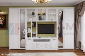 Гостиная Карина Композиция 6 (Снежный ясень) в Верхней Салде - verhnyaya-salda.ok-mebel.com | фото