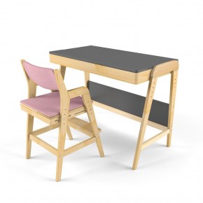 Комплект растущий стол и стул с чехлом 38 попугаев «Вуди» (Серый, Береза, Розовый) в Верхней Салде - verhnyaya-salda.ok-mebel.com | фото