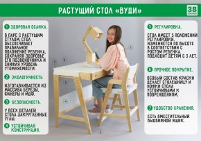 Комплект растущий стол и стул с чехлом 38 попугаев «Вуди» (Серый, Береза, Салют) в Верхней Салде - verhnyaya-salda.ok-mebel.com | фото
