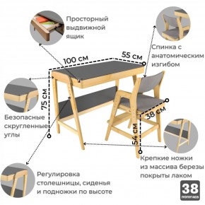 Комплект растущий стол и стул с чехлом 38 попугаев «Вуди» (Серый, Береза, Серый) в Верхней Салде - verhnyaya-salda.ok-mebel.com | фото