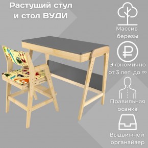 Комплект растущий стол и стул с чехлом 38 попугаев «Вуди» (Серый, Без покрытия, Монстры) в Верхней Салде - verhnyaya-salda.ok-mebel.com | фото