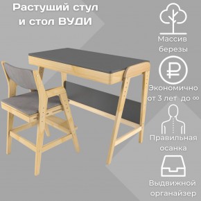 Комплект растущий стол и стул с чехлом 38 попугаев «Вуди» (Серый, Без покрытия, Серый) в Верхней Салде - verhnyaya-salda.ok-mebel.com | фото