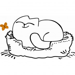 Кровать двухуровневая Кот № 900.1 ЛЕВАЯ (туя светлая/белый) в Верхней Салде - verhnyaya-salda.ok-mebel.com | фото 2