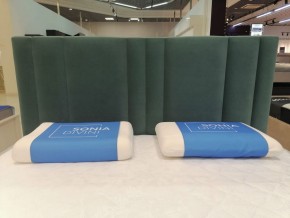 Кровать Верона Решетка+ПМ (1600) *БЕЗ ДНА в Верхней Салде - verhnyaya-salda.ok-mebel.com | фото 6
