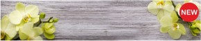 Кухонный фартук КМ 09 Композит глянец (3000) в Верхней Салде - verhnyaya-salda.ok-mebel.com | фото 1