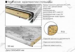 Кухонный фартук со столешницей (А-06) в едином стиле (3050 мм) в Верхней Салде - verhnyaya-salda.ok-mebel.com | фото 6