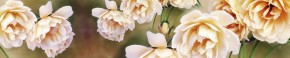 Кухонный фартук Цветы 066 МДФ матовый (3000) Flowers в Верхней Салде - verhnyaya-salda.ok-mebel.com | фото