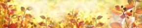 Кухонный фартук Цветы 318 МДФ матовый (3000) Flowers в Верхней Салде - verhnyaya-salda.ok-mebel.com | фото 1