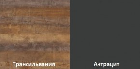 Кухонный гарнитур угловой Трансильвания 2400x1600 мм (Стол. 38 мм) Антрацит/Трансильвания в Верхней Салде - verhnyaya-salda.ok-mebel.com | фото 3