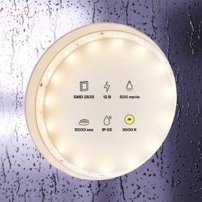 Лента светодиодная Maytoni Led strip 10105 в Верхней Салде - verhnyaya-salda.ok-mebel.com | фото 2