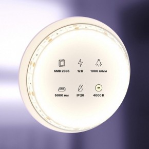 Лента светодиодная Maytoni Led strip 10109 в Верхней Салде - verhnyaya-salda.ok-mebel.com | фото 2