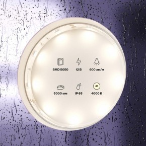 Лента светодиодная Maytoni Led strip 10124 в Верхней Салде - verhnyaya-salda.ok-mebel.com | фото 2