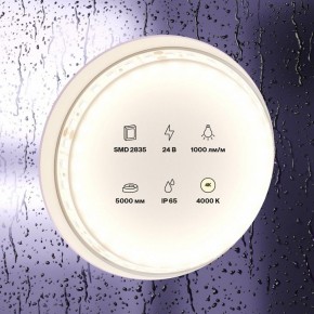 Лента светодиодная Maytoni Led strip 10146 в Верхней Салде - verhnyaya-salda.ok-mebel.com | фото 3