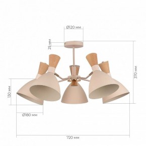 Люстра на штанге EVOLUCE VISTA SLE1256-502-05 в Верхней Салде - verhnyaya-salda.ok-mebel.com | фото 8