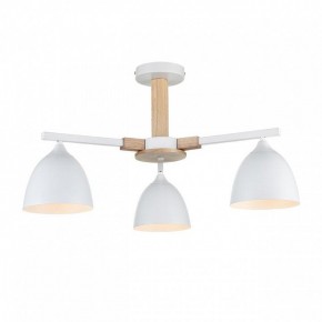 Люстра на штанге Lumion Colange 8095/3C в Верхней Салде - verhnyaya-salda.ok-mebel.com | фото 2