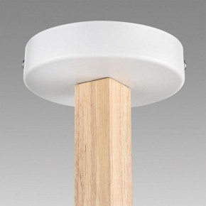 Люстра на штанге Lumion Colange 8095/3C в Верхней Салде - verhnyaya-salda.ok-mebel.com | фото 9