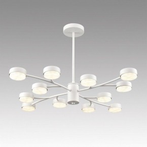 Люстра на штанге Lumion TORINA 8265/12 в Верхней Салде - verhnyaya-salda.ok-mebel.com | фото 3