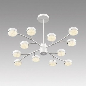 Люстра на штанге Lumion TORINA 8265/12 в Верхней Салде - verhnyaya-salda.ok-mebel.com | фото 5
