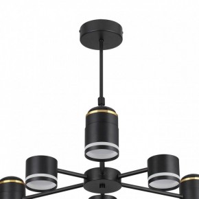 Люстра на штанге Lumion Virsava 8234/6C в Верхней Салде - verhnyaya-salda.ok-mebel.com | фото 5