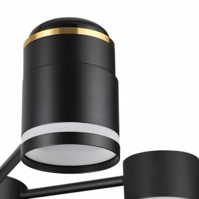 Люстра на штанге Lumion Virsava 8234/6C в Верхней Салде - verhnyaya-salda.ok-mebel.com | фото 8