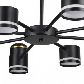 Люстра на штанге Lumion Virsava 8234/8C в Верхней Салде - verhnyaya-salda.ok-mebel.com | фото 10