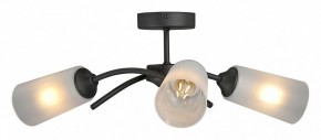 Люстра на штанге Vitaluce V2850 V2850-1/3PL в Верхней Салде - verhnyaya-salda.ok-mebel.com | фото
