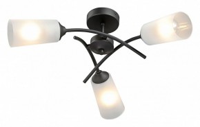 Люстра на штанге Vitaluce V2850 V2850-1/3PL в Верхней Салде - verhnyaya-salda.ok-mebel.com | фото 2