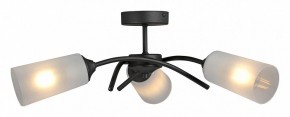 Люстра на штанге Vitaluce V2850 V2850-1/3PL в Верхней Салде - verhnyaya-salda.ok-mebel.com | фото 3