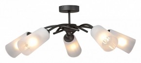 Люстра на штанге Vitaluce V2850 V2850-1/5PL в Верхней Салде - verhnyaya-salda.ok-mebel.com | фото
