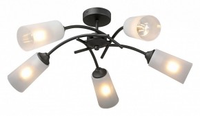 Люстра на штанге Vitaluce V2850 V2850-1/5PL в Верхней Салде - verhnyaya-salda.ok-mebel.com | фото 2