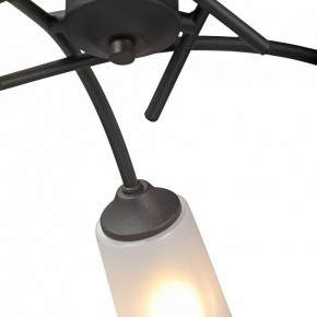 Люстра на штанге Vitaluce V2850 V2850-1/5PL в Верхней Салде - verhnyaya-salda.ok-mebel.com | фото 6