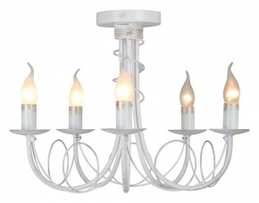Люстра на штанге Vitaluce V3035 V3035-0/5PL в Верхней Салде - verhnyaya-salda.ok-mebel.com | фото 2
