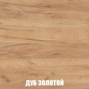 МСП-1 Шкаф 2-х створчатый (Дуб Золотой/Камень темный) в Верхней Салде - verhnyaya-salda.ok-mebel.com | фото 4