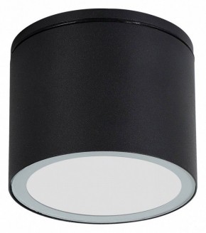 Накладной светильник Arte Lamp Piautos A1913PF-1BK в Верхней Салде - verhnyaya-salda.ok-mebel.com | фото